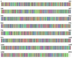 ハーバードの研究チームが多目的多機能の「折り紙式」蛍光バーコードを開発