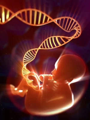 Cell Free DNA (cfDNA)検査でダウン症候群発見に優秀な成果