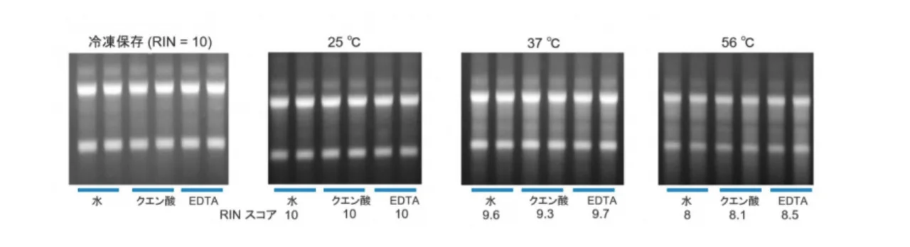 gentgra3