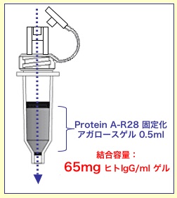 ラットやマウスのモノクローナル抗体精製キット Ab-Express