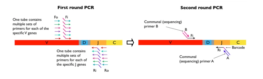 ir_arm-pcr