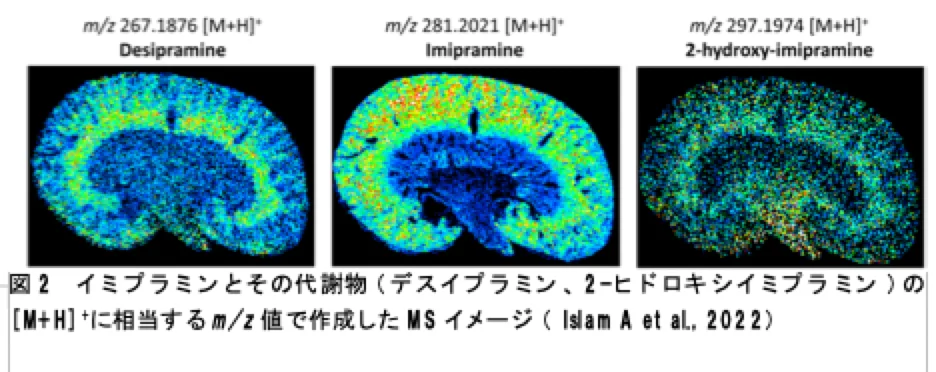 lcms241023