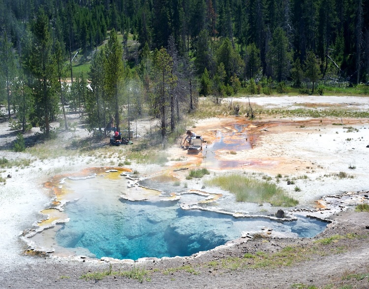 イエローストーン温泉の微生物が解き明かす生命進化の謎:酸素への適応