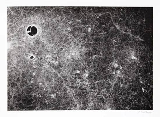 アリの行動がアートに！科学と芸術の融合が生み出す驚きの視覚世界