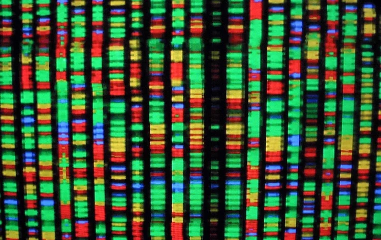 遺伝子検査が第一選択へ！米国小児科学会の新指針で子どもの発達障害診断が変わる