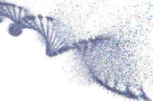 私たちの祖先はいつから感染症に苦しんでいた?6,500年前のDNAから探る病気の歴史