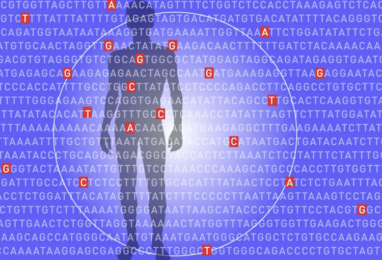 肥満リスクは遺伝子で予測できる?500万人のデータが示す早期予防の可能性