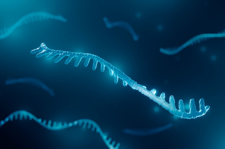 生命の起源の謎に迫る一大発見:RNAとアミノ酸が「自発的に」結合する化学反応を実証