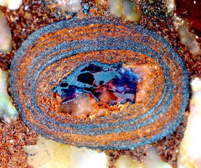 地球史の定説を覆す発見!古代の海の炭素量は予想のわずか1%だった?