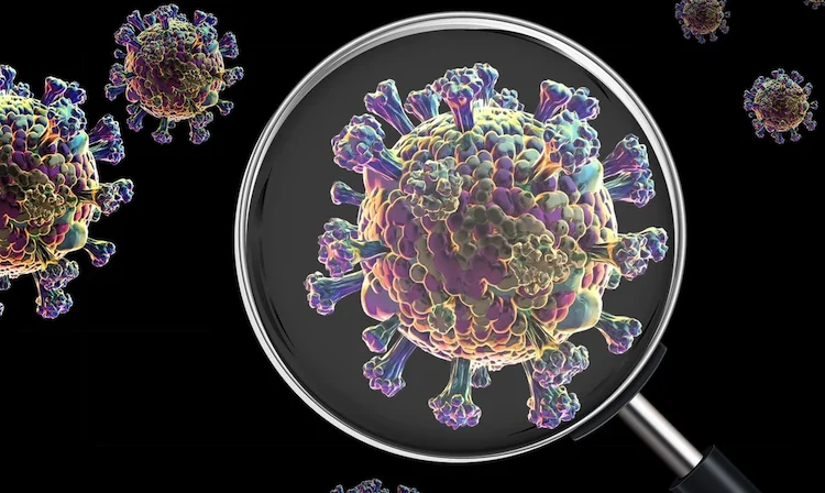 RNAデータから未知のウイルスを発見！Caltech開発の新ソフトウェアが拓くウイルス研究の新時代